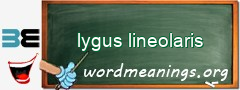 WordMeaning blackboard for lygus lineolaris
